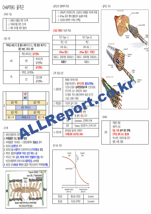 생리학 요약본(시험관련) 카셉운동사 (3 페이지)